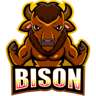Bison